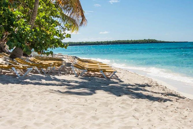 Platinum Catalina Island and Chavon River - Catalina Island National Park: How to Use Your Free Time