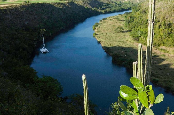 Platinum Catalina Island and Chavon River - Price and Value at $105: What You’re Actually Paying For
