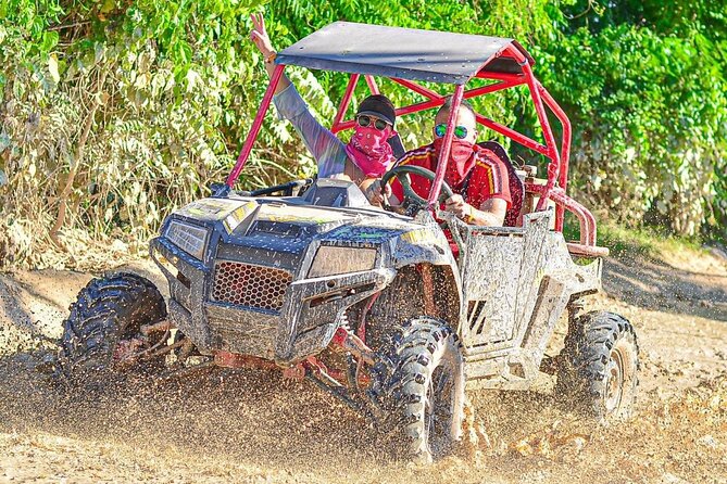 Predator Buggies Tour in Punta Cana - Should You Book Predator Buggies in Punta Cana?