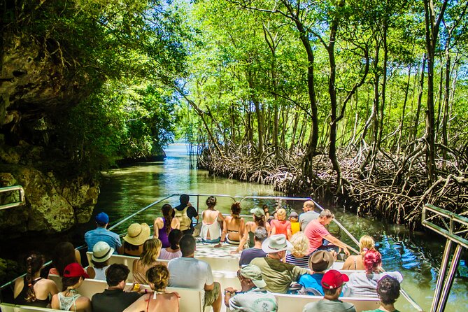 PRIVATE: 3in1 - Los Haitises N.P. + Y. Waterfall + Mount. Redonda - Key highlights worth knowing