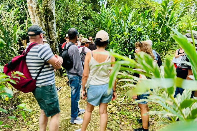 PRIVATE: 3in1 - Los Haitises N.P. + Y. Waterfall + Mount. Redonda - Salto de Yanigua: waterfall time plus the clay SPA and plantation learning