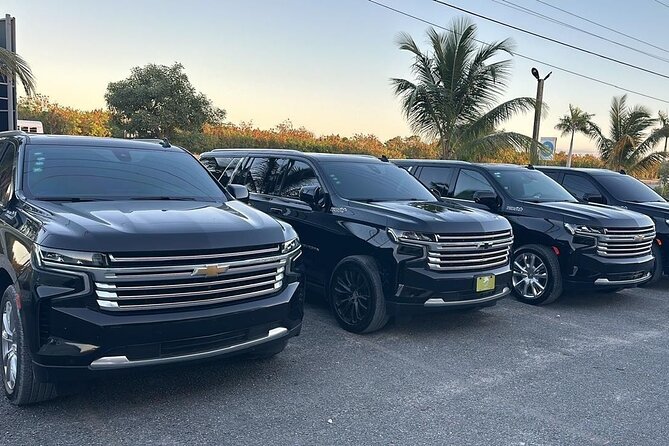 Private Airport Transfer from Punta Cana safety & Comfort - Avoiding the Most Common Headaches
