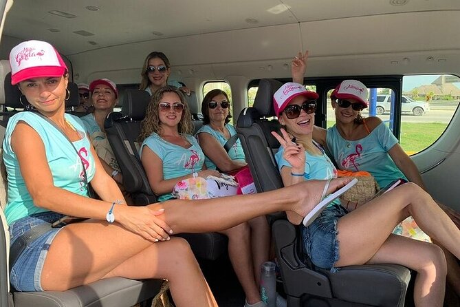 Private Airport Transfer to/from Punta Cana Airport and La Romana - Private, Air-Conditioned Ride: Comfort You’ll Appreciate Sooner Than You Think