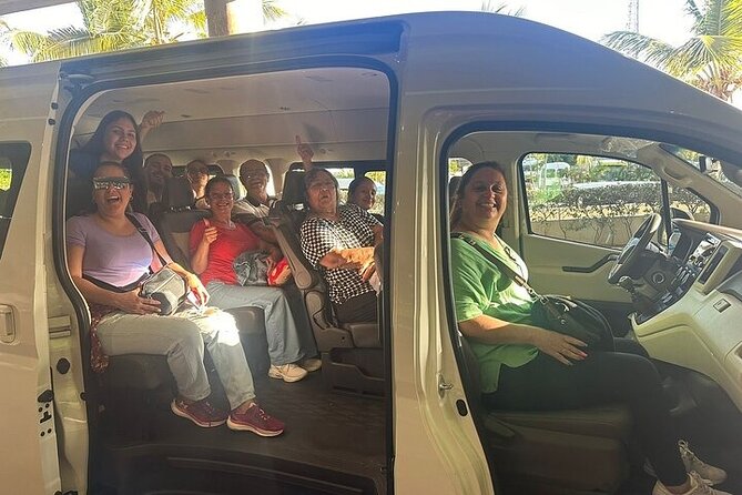 Private Airport Transfer to or from Uvero Alto and Punta Cana - After Immigration: What to Expect When You Land