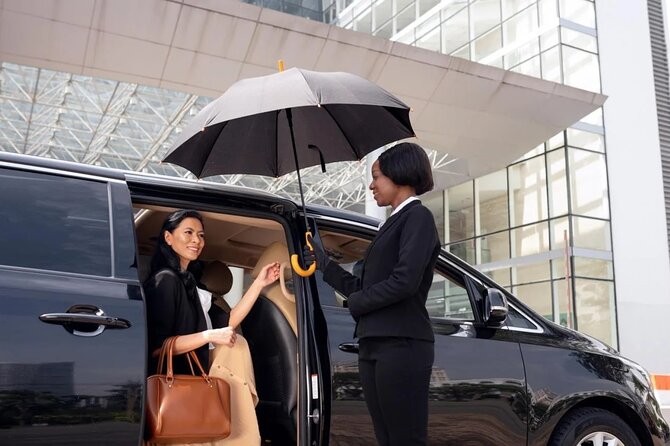 Private Airport Transfers - Punta Cana - Who This Transfer Is Best For (And Who Might Skip It)
