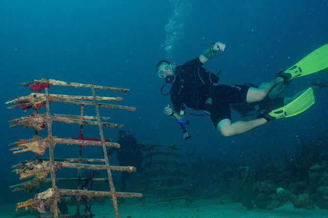 Private Bayahibe 3 Tank Diving with Lunch from Punta Cana - Why switching to the Caribbean side changes the whole experience
