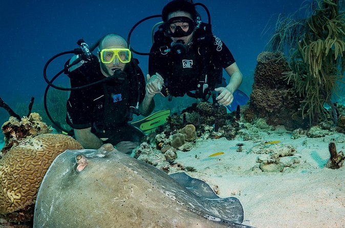 Private Bayahibe 3 Tank Diving with Lunch from Punta Cana - Lunch on the coast: a la carte without losing momentum