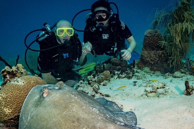 Private Bayahibe 3 Tank Diving with Lunch from Punta Cana - Equipment and experience fit: who this trip serves best