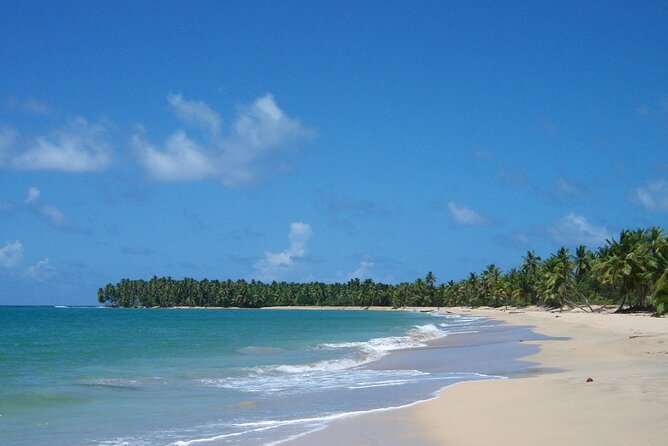 Private Boat Nature Tour of Limón Beach and Lagoon - Key highlights to know before you go