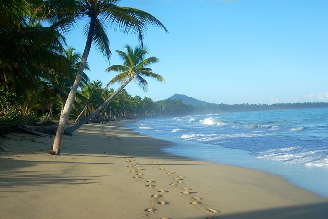 Private Boat Nature Tour of Limón Beach and Lagoon - El Cedro: local Dominican lunch, fruit, and warm coffee