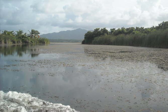Private Boat Nature Tour of Limón Beach and Lagoon - What the $290 price really buys you (and what to watch)