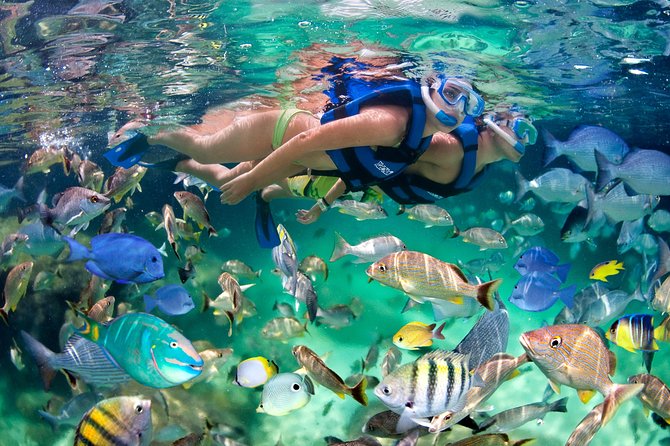 Private Catamaran Snorkeling Family Adventure - Photo service: how to handle the camera guy without ruining your day