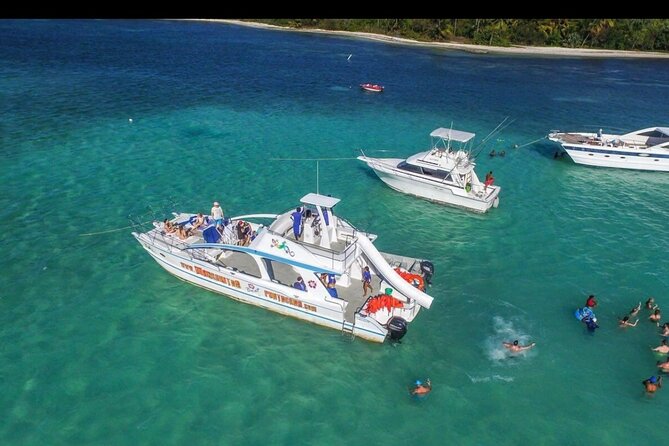 Private Cruise Party with Drinks and Snorkeling in Punta Cana - Playa Bibijagua Snorkeling Stop: Coral Reef Time in One Chunk