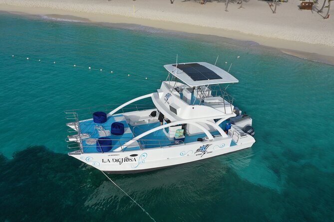 Private Full Day Charter to Saona Island from Punta Cana - Key highlights worth booking
