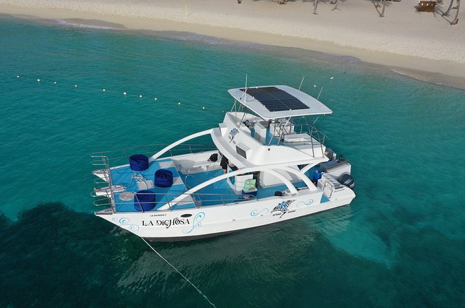 Private Full Day Charter to Saona Island from Punta Cana - Starfish Cay (Palmilla): the sandbar stop that people remember