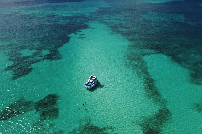 Private Full Day Charter to Saona Island from Punta Cana - Atlantic Princess shipwreck: snorkeling with a hands-on instructor vibe