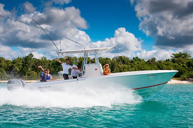 Private Isla Saona Boat Tour – Snorkeling Premium Drinks & Buffet - Getting to the marina: Punta Cana pickup and your start time