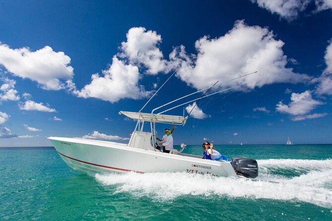 Private Isla Saona Boat Tour – Snorkeling Premium Drinks & Buffet - Should you book this private Isla Saona + Palmilla day?