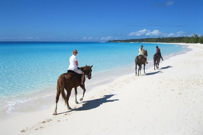 Private Macao Beach horseback riding in punta cana and Bayahibe - Key Things That Make This Horseback Ride Worth Your Time
