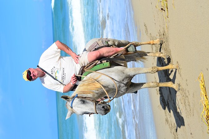 Private Macao Beach horseback riding in punta cana and Bayahibe - Animal Care: Horses That Look Well Kept
