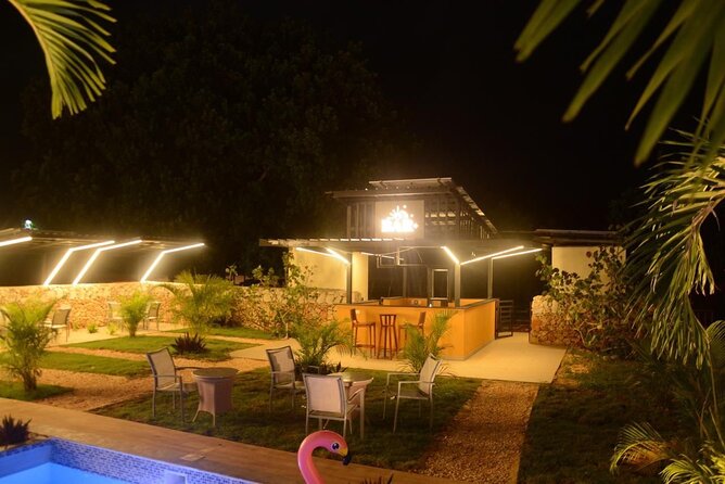 Private Night Tour in Buggy with Party in Punta Cana - Key highlights to expect