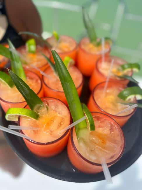 Private Party Boat Tour with Drinks and Snacks in Punta Cana - Private Catamaran Party Boat in Punta Cana: What You’re Actually Buying