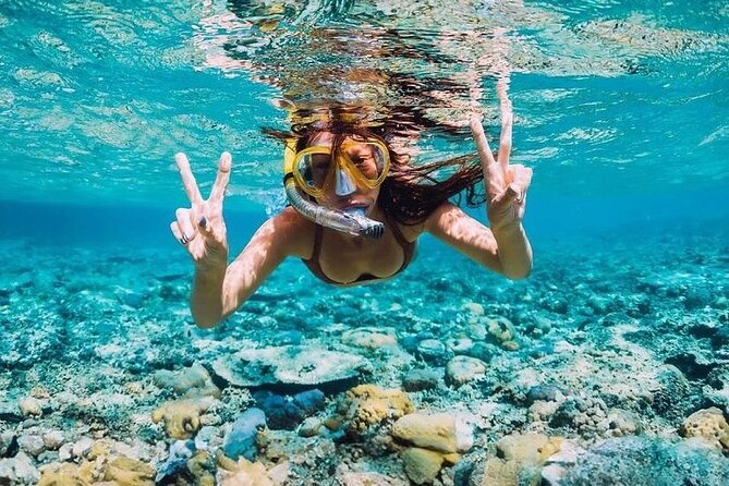 Private Party Boat with Snorkeling in Playa Bibijagua - Snorkeling Stop and the Dolphin Chance: What You’ll Be Watching For
