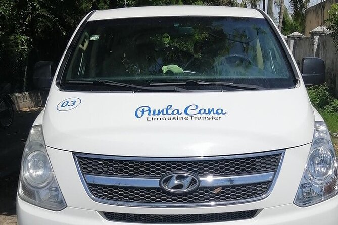Private Round Trip Airport Transfer Bavaro Hotels - Watch-outs: pickup communication and airport counter confusion