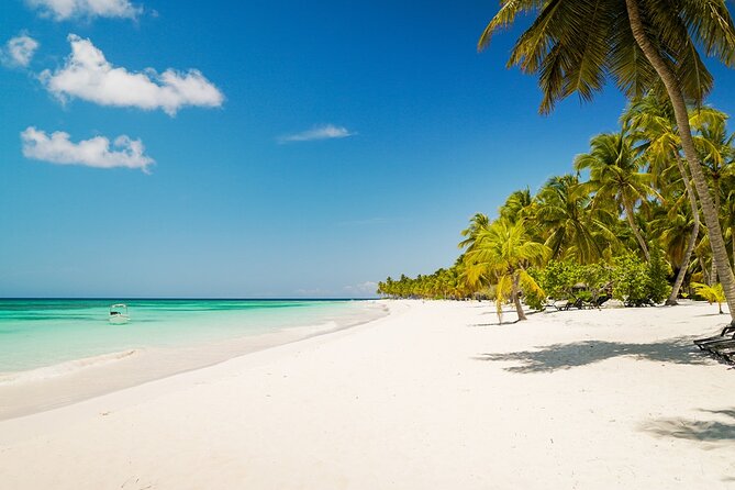 Private Saona Island Excursion - Private Saona Island at a Glance: What You Get