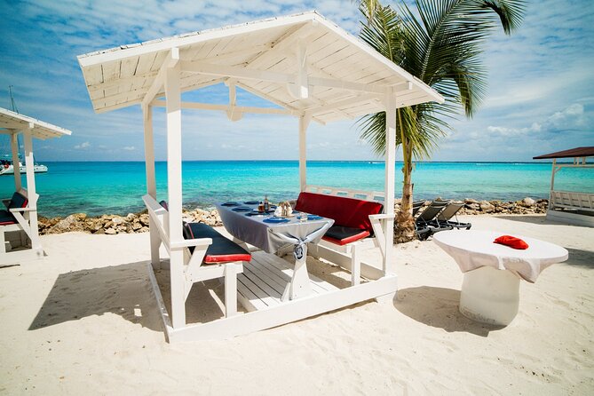 Private Saona Island Excursion - Natural Swimming Pool (Parque Nacional del Este): Short Swim, Clear Water