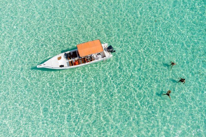Private Saona Island Excursion - Optional Snorkeling: Nice If It Fits Your Day