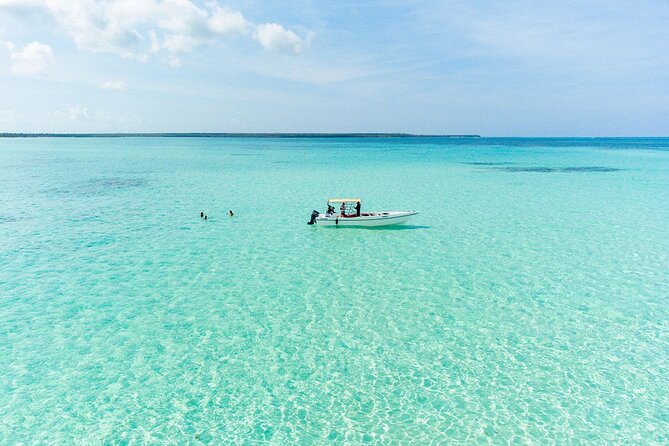 Private Saona Island Excursion - “Private” Expectations: The Real-Life Difference Between Private and Crowded