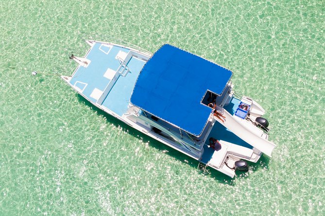 Private Snorkeling in Punta Cana - Cruise the Bavaro Coast with Your Playlist Driving the Mood