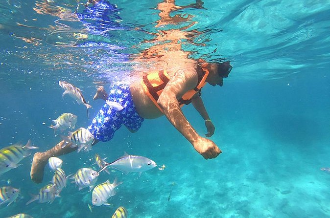 Private Speed Boat Experience with Snorkeling in Punta Cana - Private tour feel: what you gain (and what you don’t)
