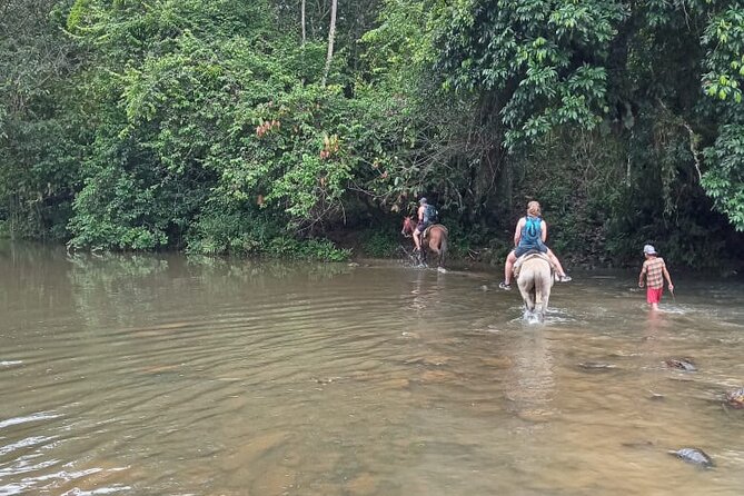 Private Tour in Miches with La Jarda Waterfall Experience - Miches in One Long Day: Price, Pickup, and Time on the Road