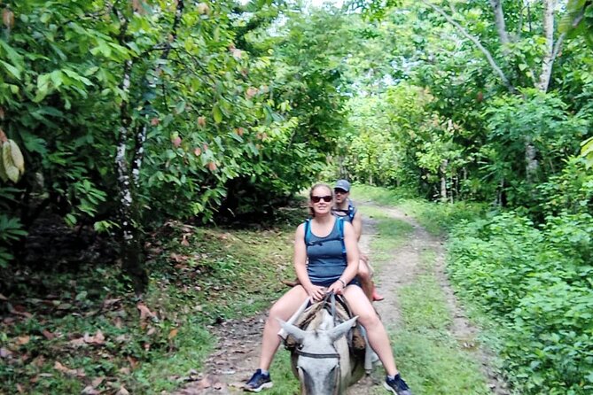 Private Tour in Miches with La Jarda Waterfall Experience - Coffee and Cacao Forest Paths: A Shaded Break That Feels Local