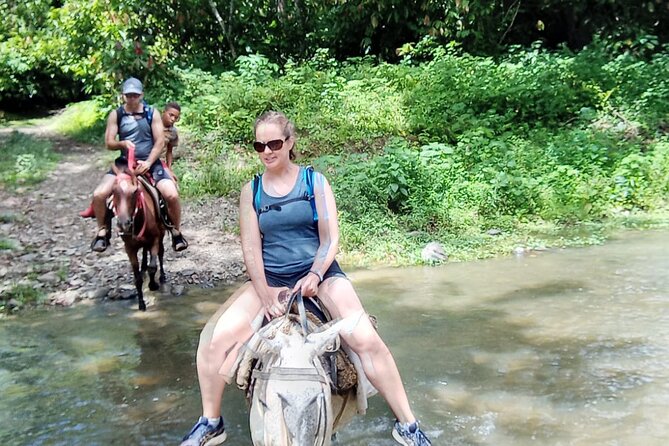 Private Tour in Miches with La Jarda Waterfall Experience - Private Tour Logistics: Transfers, Mobile Tickets, and Local Communication