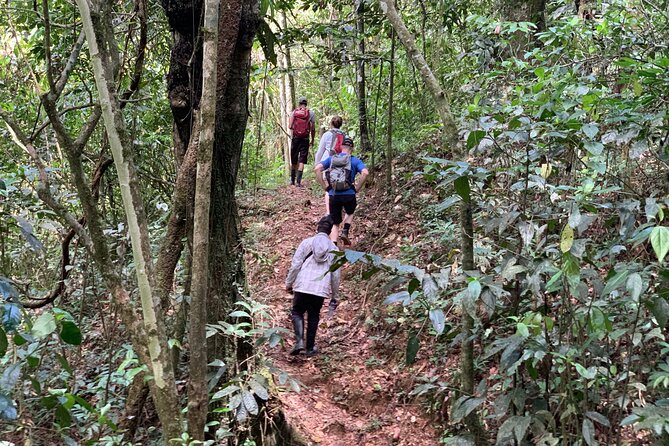 Private Tour in Miches with La Jarda Waterfall Experience - Food on the Day: Breakfast Stop and Dominican Lunch Energy