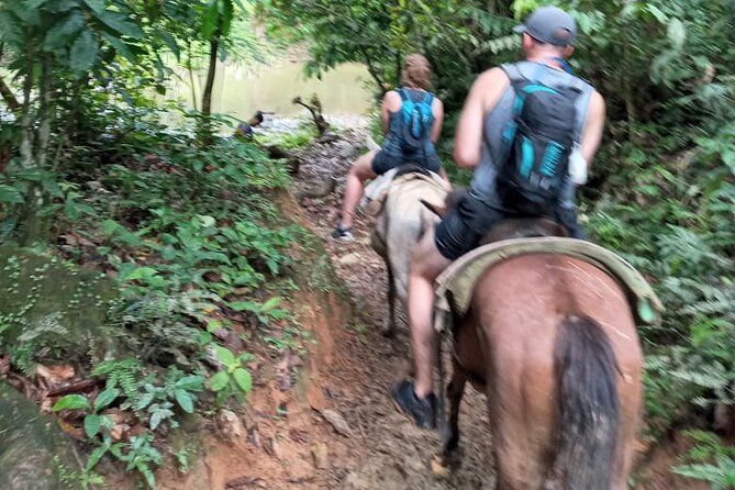 Private Tour in Miches with La Jarda Waterfall Experience - La Jarda Waterfall and the 400-Foot Drop: Nature’s Main Event