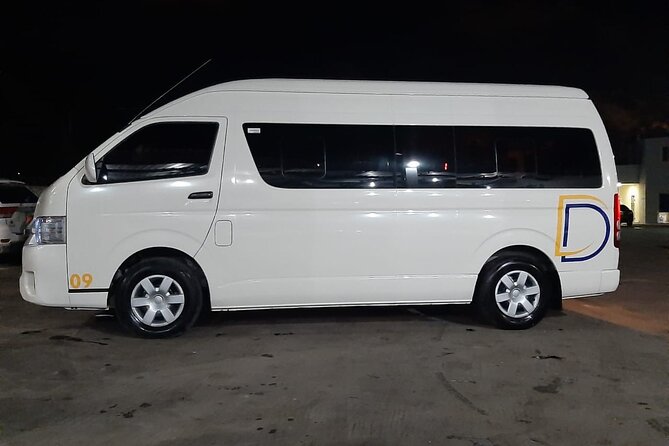 Private Transfer between Las Americas Airport and Punta Cana - Who This Transfer Is Best For