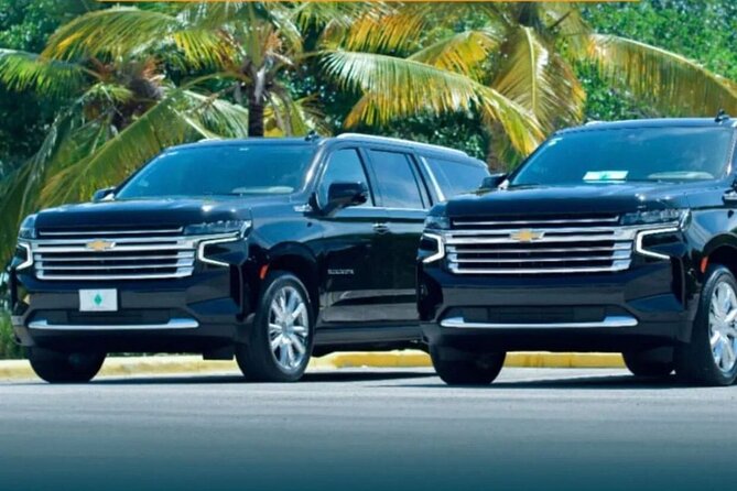 Private transfer from Bávaro Hotels to Punta Cana Airport - Bávaro to Punta Cana Airport, minus the hassle