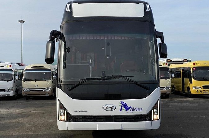 Private Transfer From or to Punta Cana Airport to hotels in Bávaro - What’s included (and what you should plan for)