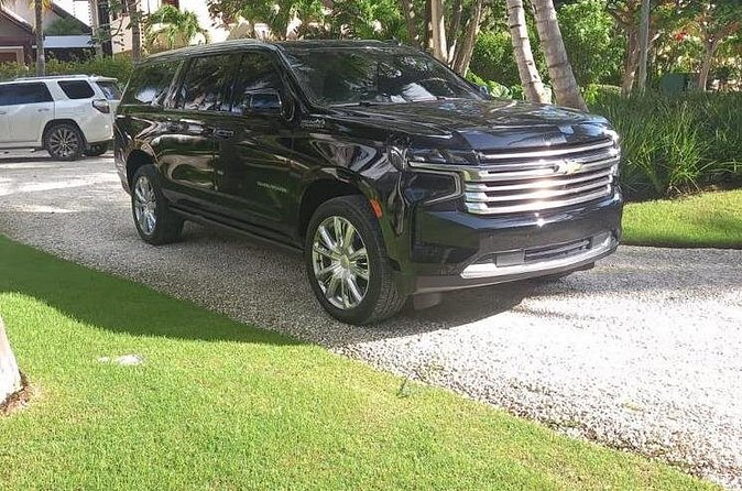 Private Transfer from Punta Cana Airport to Accommodation - Meeting your driver: poster, lobby pickup, and mobile ticket