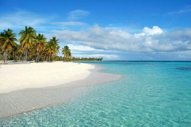 Private Transfer From Punta Cana Airport to Cap Cana, Cabeza de Toro and Bavaro - Price and logistics: when this transfer is the right choice