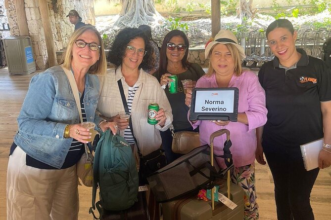 Private Transfer from Punta Cana Airport to Your Hotel - Watch the Extras: Out-of-Zone Pickup and Extra Luggage