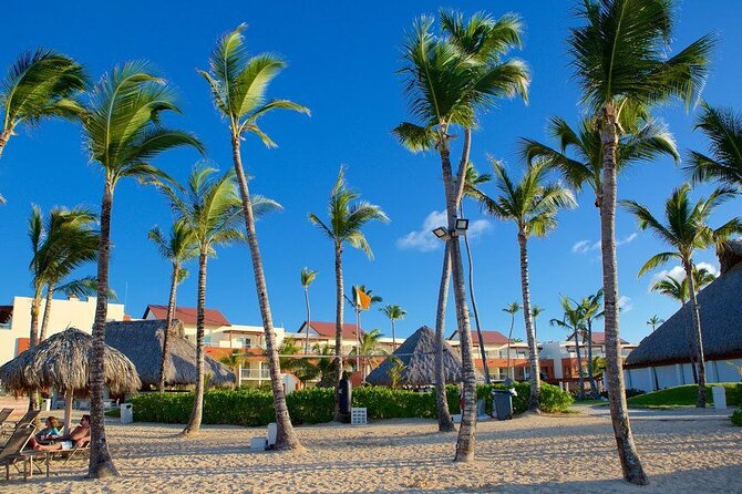 Private Transfer from Punta Cana Airport to Zona Hotels - Key highlights worth your attention
