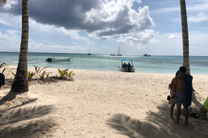 private transfer standard and premium punta cana airport to puerto plata - Standard vs Premium: How to Pick the Right Tier