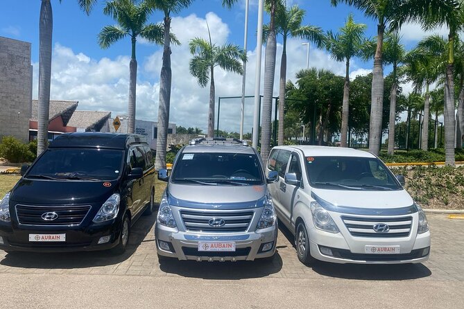 Private Transfers From Punta Cana To Bavaro - Group size and private comfort: up to 10 people