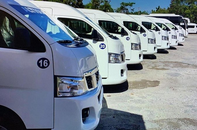 Private Transfers in PUNTA CANA AIRPORT - Private vs. Shared: Why Your Arrival Feels Different