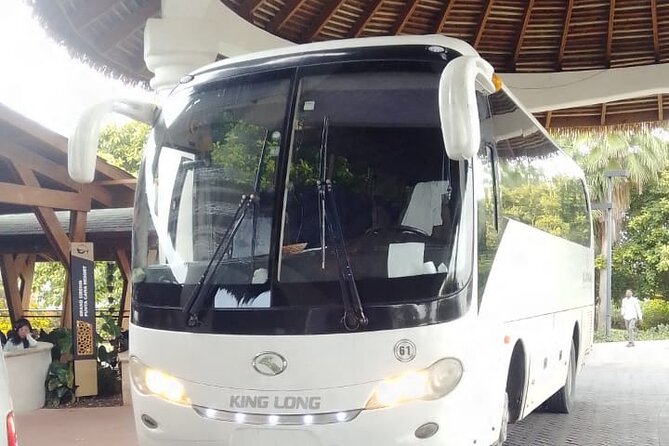 private transport - Transfers for the fun stuff: night plans like Coco Bongo